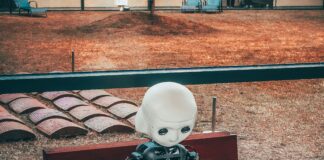 Alexa Academy: l’elettronica e la programmazione alla portata di tutti Alexa Academy